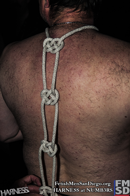 FMSD - HARNESS - DSC_0245.jpg